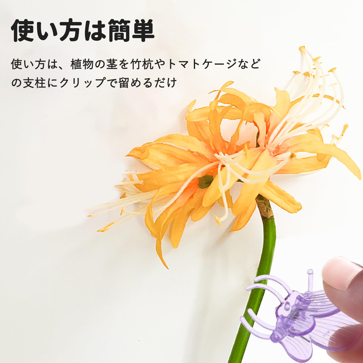 Amazon | オーキッドクリップ 胡蝶蘭クリップ オーキッドクリップ 胡蝶